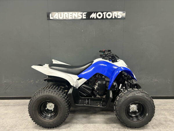 Yamaha YFM 90 2013